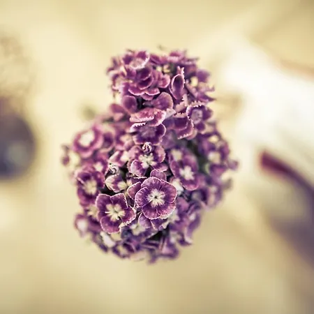 W Starym Mlynie ベッド・アンド・ブレックファスト