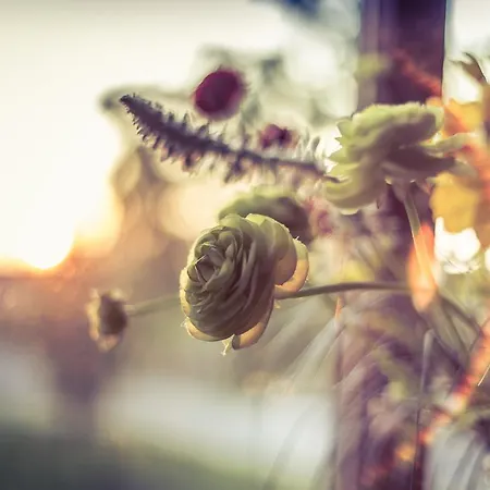 W Starym Mlynie ベッド・アンド・ブレックファスト ミリチ