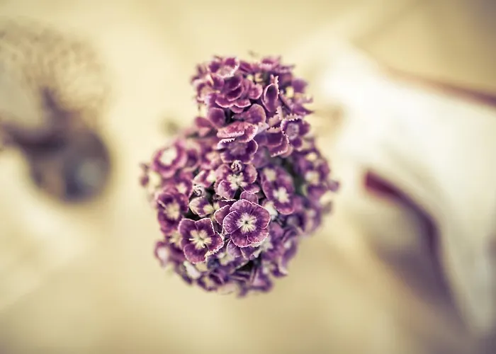 W Starym Mlynie ベッド・アンド・ブレックファスト