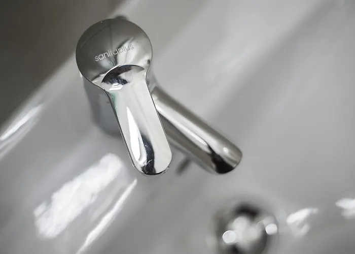 W Starym Mlynie * ミリチ