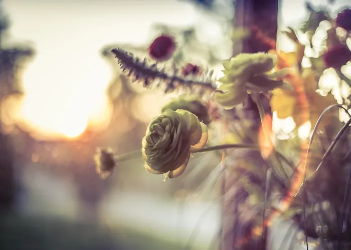 W Starym Mlynie ベッド・アンド・ブレックファスト ミリチ